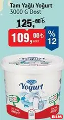 DOST TAM YAĞLI YOĞURT 3000 G